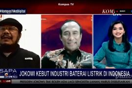 DEN klaim Indonesia akan kuasai teknologi baterai listrik