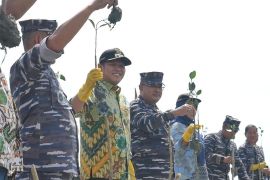 Lantamal I Belawan-Pemkab Sergai tanam ribuan mangrove