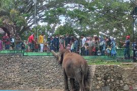 Bukittinggi maksimalkan objek wisata sambut libur panjang sekolah