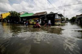 Banjir Di Sidoarjo