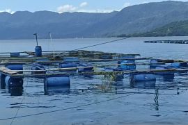 DPKP Agam catat 50 rumpon di Danau Maninjau