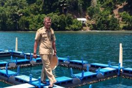 Dinas Perikanan pindahkan 62 keramba di Mandeh ke perairan Kampung Sungai Bungin Batang Kapas