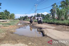 Warga minta Pemkot Singkawang segera memperbaiki Jalan Semai yang kini rusak parah