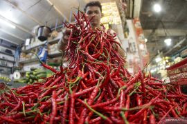 Cabai merah di Tebing Tinggi semakin "pedas"