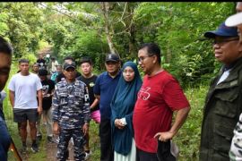 Pemprov Sulbar tata ulang Pulau Karampuang optimalkan potensi wisata