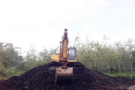 Tambang ilegal ancam kelestarian lingkungan di KabupatenTabalong