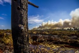 Warga Pessel diminta berperan cegah hutan dan lahan terbakar