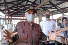 DPRD Mataram usulkan dana tak terduga bantuan obat PMK