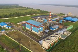 Uji coba biomassa cangkang sawit pada PLTU capai 100 persen