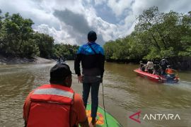 Seorang warga di Sepaku dilaporkan meninggal karena diterkam buaya
