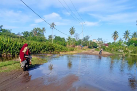 Jalan di Tiku Lima Jorong Agam digenangi air dampak hujan
