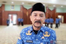Pemprov Kalsel upayakan tenaga honorer berstatus PPPK