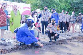 Hari Bhayangkara, Polres Situbondo lepasliarkan ratusan tukik di Pantai Bama