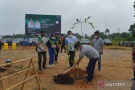 Bupati tanam pohon peringati hari lingkungan hidup
