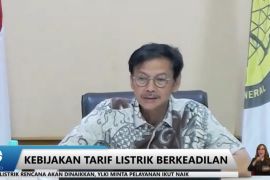 Penyesuaian tarif listrik rumah mewah dipengaruhi harga minyak