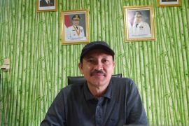 Biaya produksi tinggi, harga cabai di Bengkulu alami kenaikan