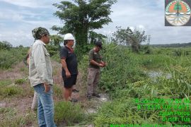 Niat cari ikan, pria di Pelalawan tewas dimangsa buaya