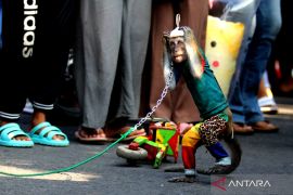 Pertunjukan Topeng Monyet