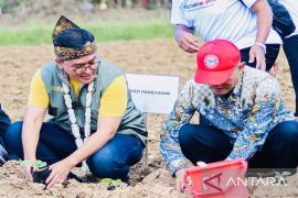 Pemkab Pamekasan teken petisi perlindungan tembakau Madura
