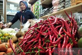 Harga cabai di pasar tradisional Kudus Rp90.000 per kilogram
