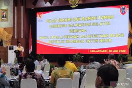 Kalsel berencana tidak bergantung pada batu bara