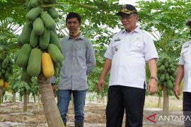 Pemkab HSS dukung program YESS dorong generasi muda jadi petani milineal