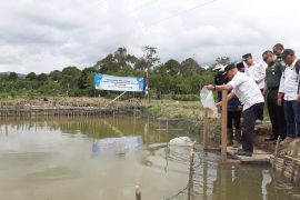 PLTA Peusangan dukung peningkatkan ekonomi masyarakat