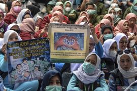 Pemerintah diminta kaji ulang penghapusan tenaga honorer