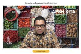 Govt defers carbon tax implementation