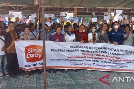 BUMN perkebunan Malaysia butuhkan 6.000 PMI hingga akhir 2022