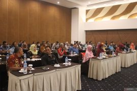 Bangka Tengah targetkan peremajaan 200 hektare kebun sawit