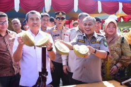 Gebyar makan durian hendaknya dapat menarik wisatawan ke Bengkalis