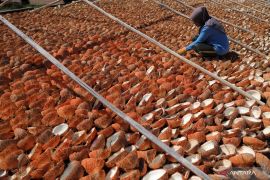 Pemerintah genjot pengembangan industri hilir kelapa