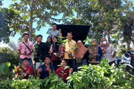 Hari Krida Pertanian, petani muda Tabagsel tanam berbagai bibit tanaman