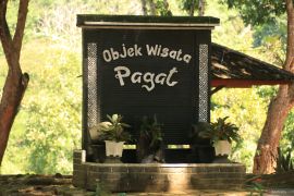 Pemkab HST "sulap" padang ilalang objek wisata Pagat jadi taman bunga