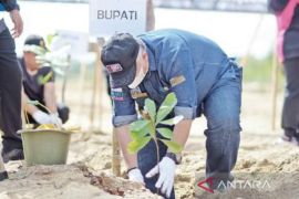 Pemerintah Bangka Barat apresiasi penghijauan lahan kritis Menumbing