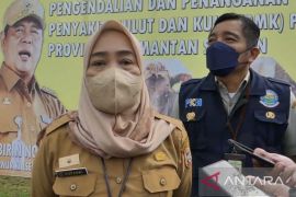 Vaksinasi hewan ternak sapi di Kalsel sudah di atas 70 persen