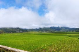 Manggarai Barat dorong poktan lakukan rehabilitasi sumber air