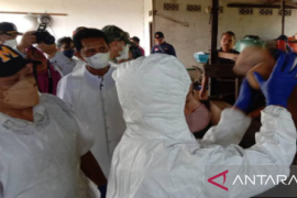 Pemerintah Kubu Raya siapkan 1.200 dosis vaksin upaya pencegahan PMK