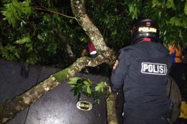 Polisi tetapkan tersangka sopir bus kecelakaan di Tasikmalaya