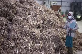 Nilai ekspor pertanian dan perkebunan Sumut naik 15-20 persen