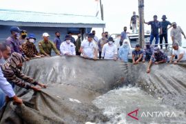 Akan terima ribuan larva dari BPBL Batam, Meranti targetkan jadi pusat larva kakap putih di Riau