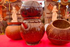 Balinese beruk craft offers cultural heritage, economic potential