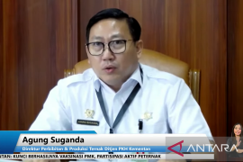 Kementan pastikan stok hewan kurban cukup jelang Idul Adha