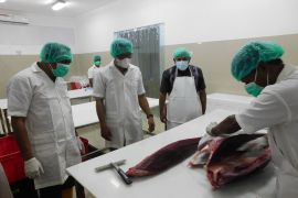 Layanan 24 jam "Health Certificate" KKP percepat ekspor tuna Maluku ke Malaysia