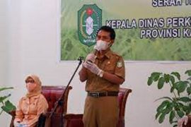 Kalbar tunggu evaluasi terkait pembatasan pengiriman ternak antisipasi penyebaran PMK