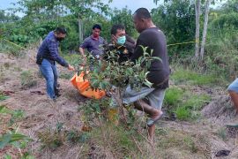 Mayat lansia setengah telanjang ditemukan membusuk di Pekanbaru