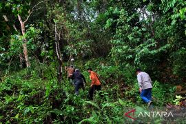 PT PLN dan ATR/BPN kerja sama amankan aset negara di Kalimantan
