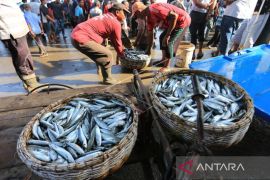 Sabang optimis target 8,6 ribu ton produksi ikan tangkap bisa tercapai
