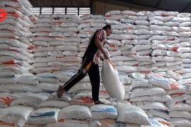 Wagub Riau: Tekanan inflasi Riau dipengaruhi 2 faktor fundamental